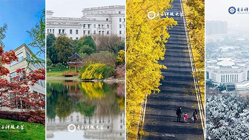 电子加工设备分类解析：揭秘高效生产背后的奥秘